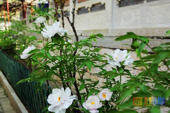 1618191939358894.png image.png